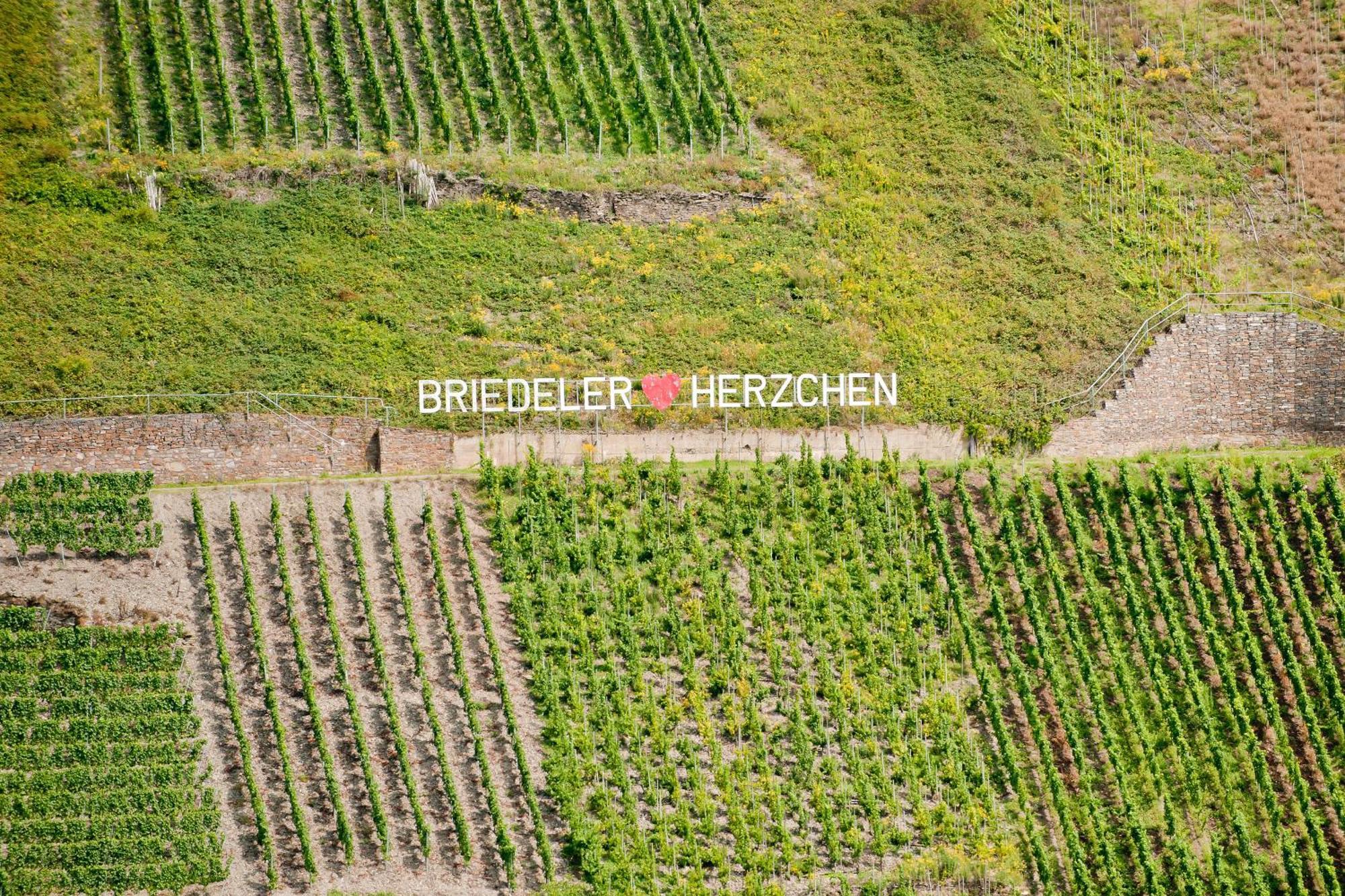 Wein- Und Sektgut Markus Hensler Briedel Εξωτερικό φωτογραφία